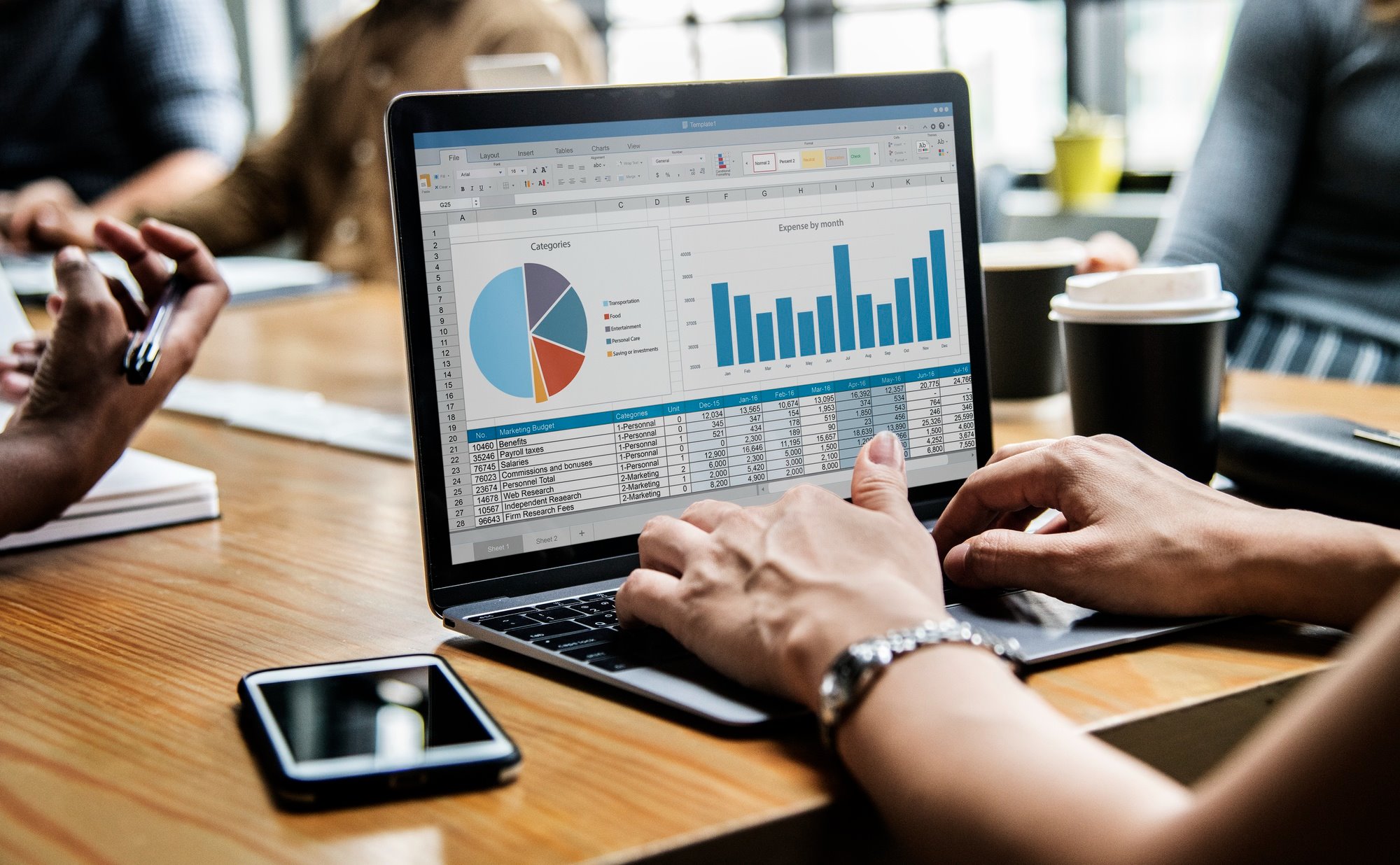 Analyst reviewing charts on a laptop