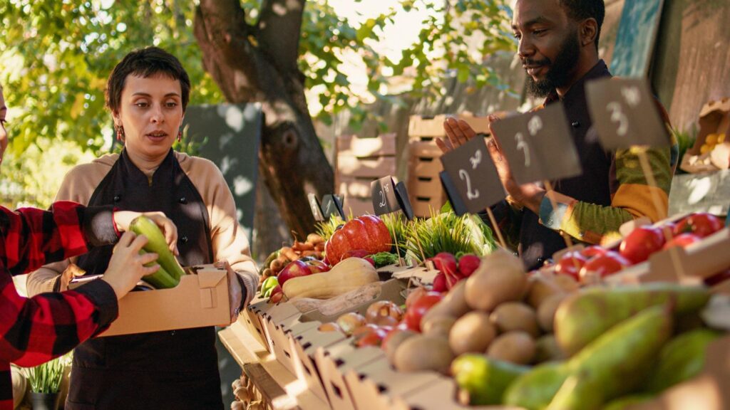 Economy and livelihoods